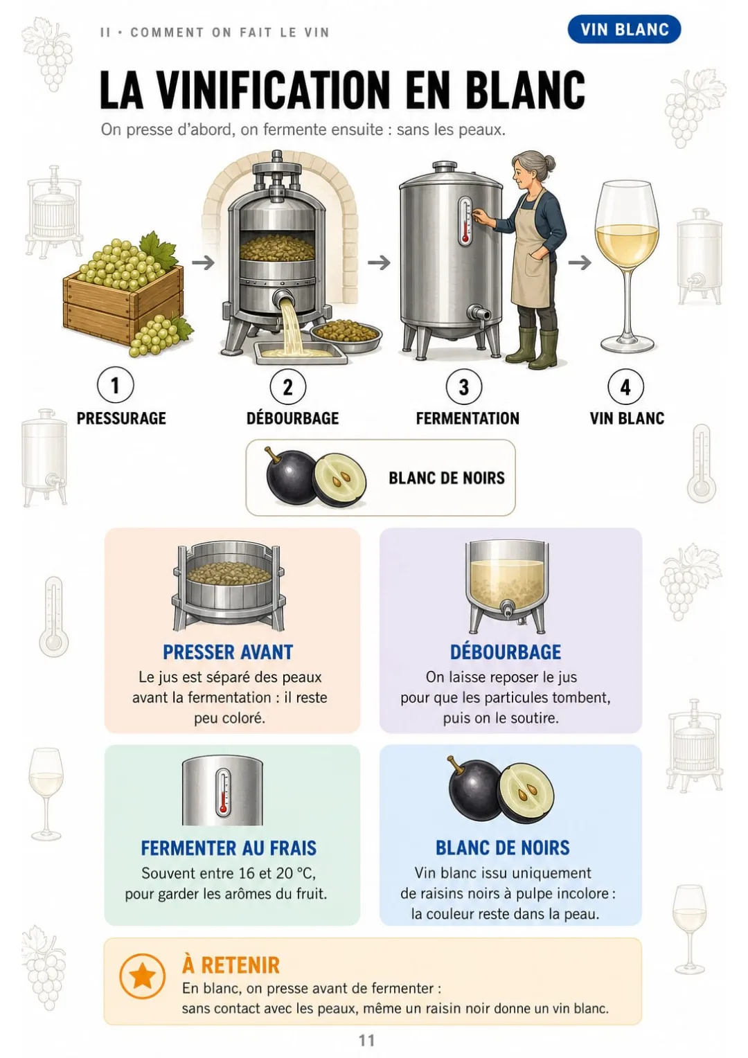 Pressurage, débourbage, fermentation entre 16 et 20 °C : le blanc en 4 étapes.