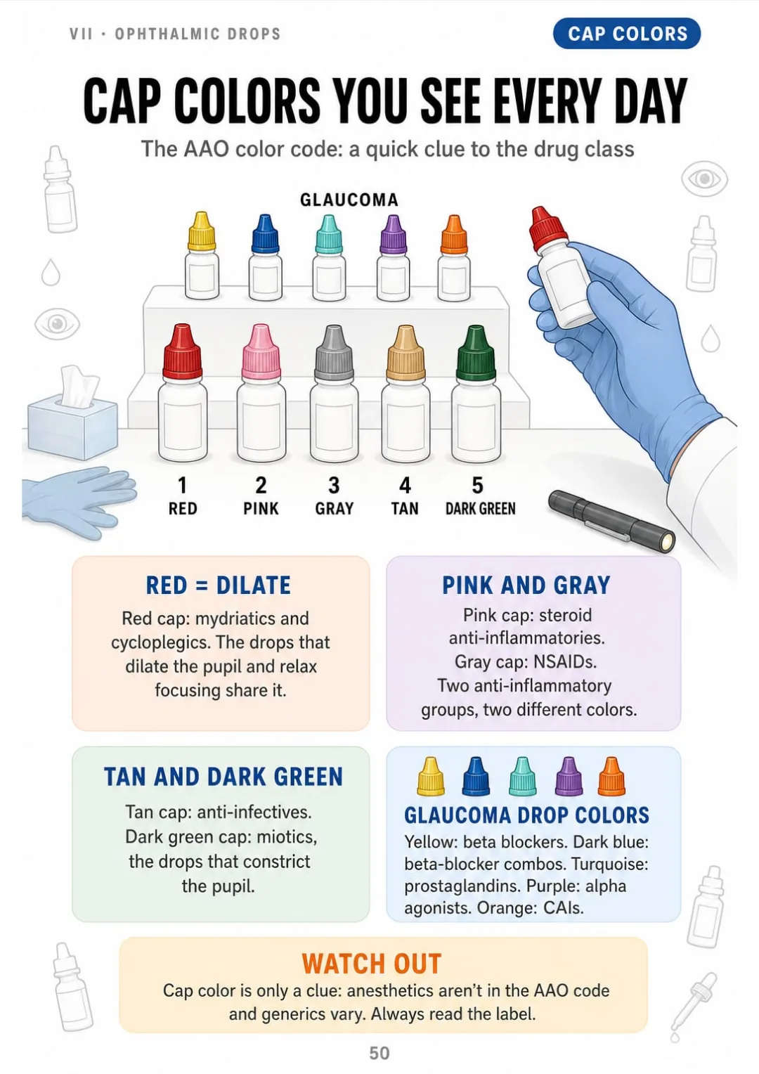 AAO cap code: red dilates, pink steroid, gray NSAID, tan anti-infective, dark green miotic, plus glaucoma colors.