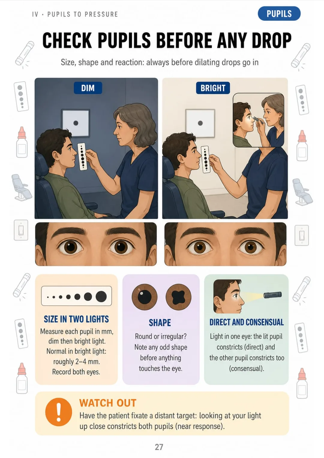 Pupils: size in dim and bright light, shape, direct and consensual reaction, always before drops.