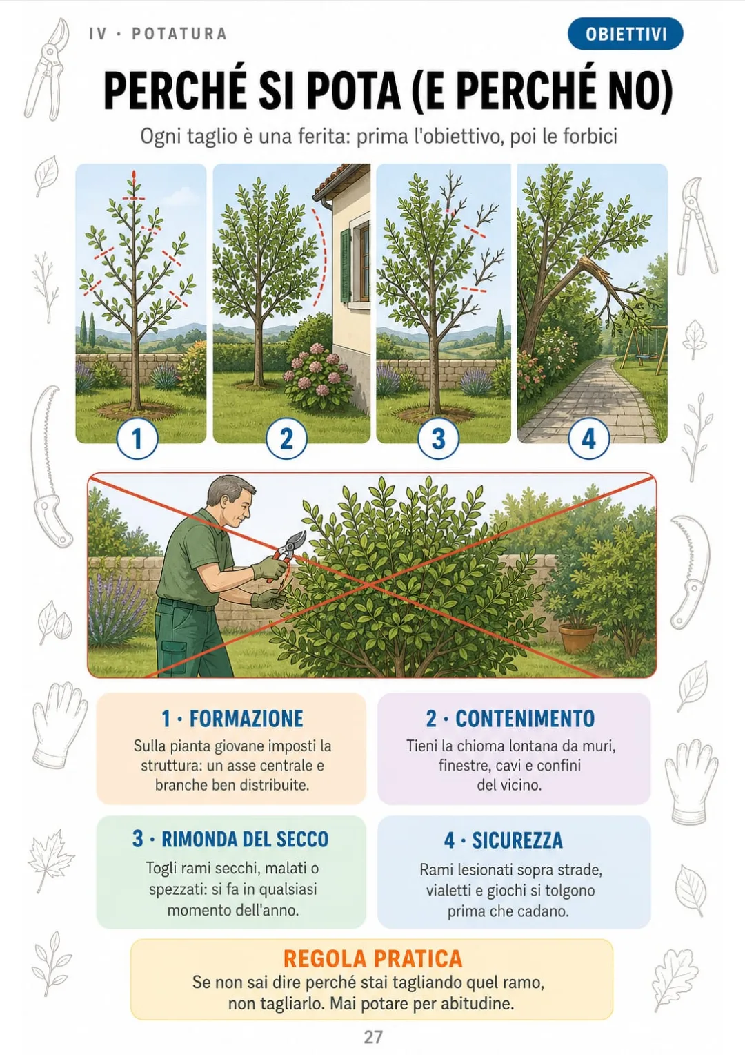 Formazione, contenimento, rimonda, sicurezza: ogni taglio ha un obiettivo