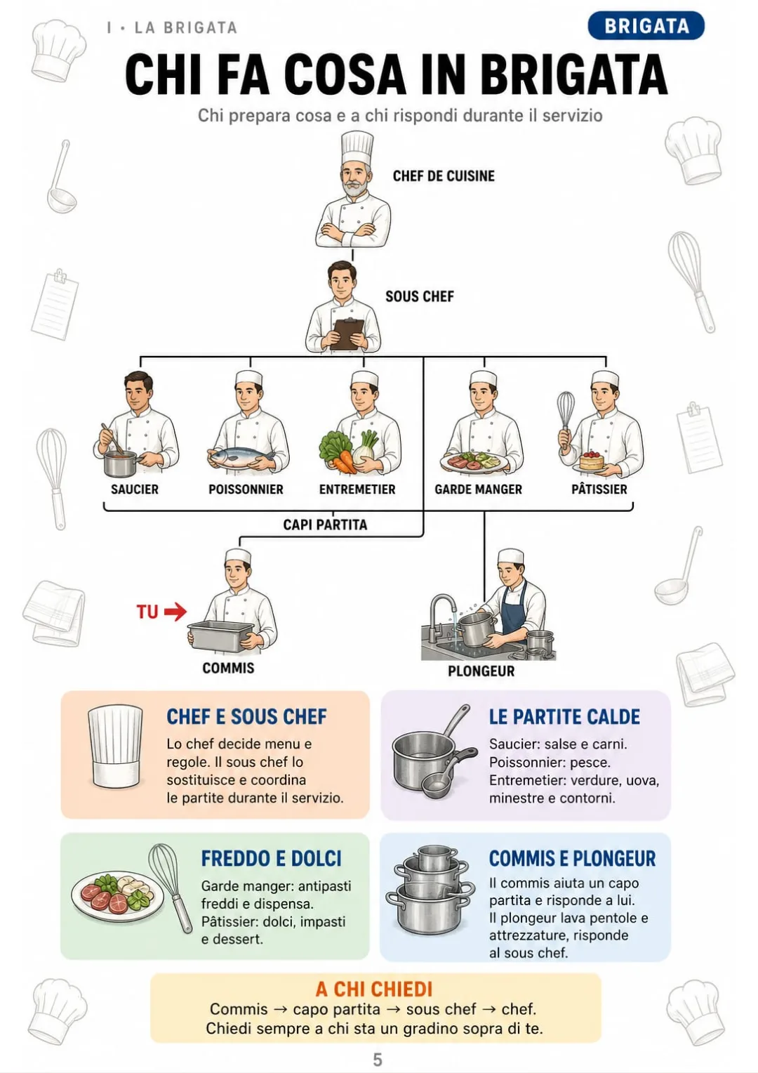 Commis → capo partita → sous chef → chef: l'organigramma della cucina in un disegno