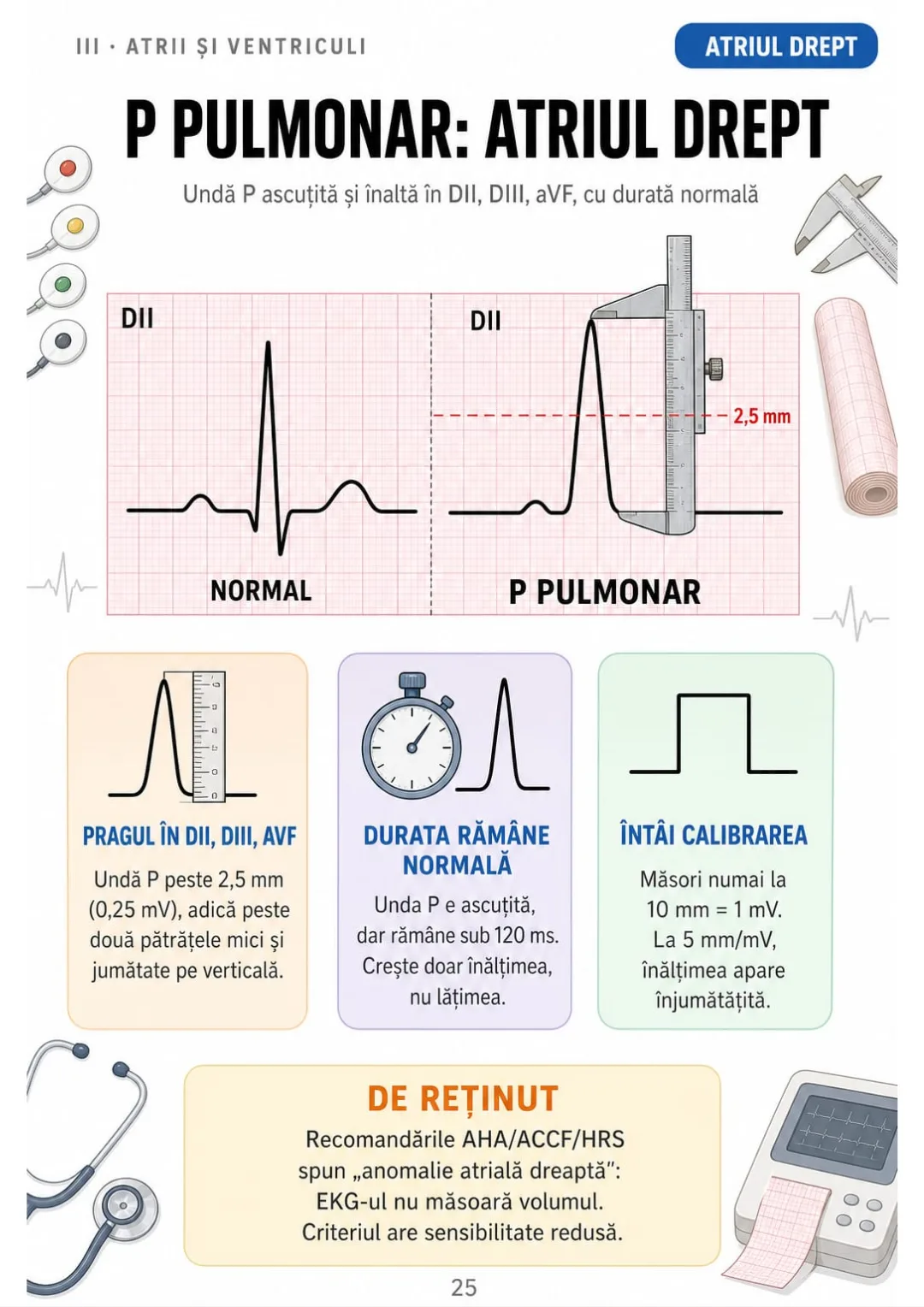 P pulmonar: unda P peste 2,5 mm în DII, DIII, aVF, cu durată normală