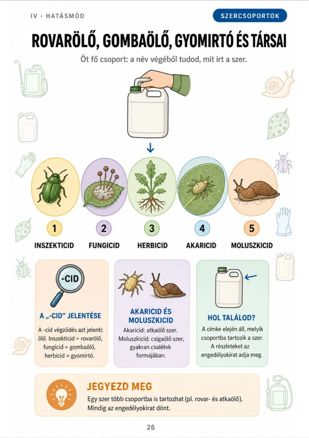 Inszekticid, fungicid, herbicid, akaricid, moluszkicid: a „-cid” jelentése ölő.