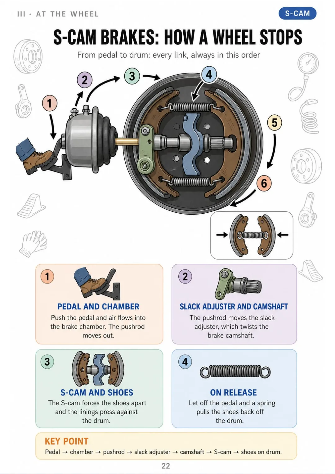 S-cam sequence: air in chamber, pushrod out, slack adjuster twists cam, shoes hit drum.