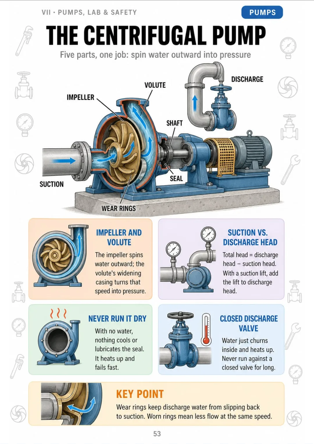 Impeller, volute, shaft, seal and wear rings in one cutaway